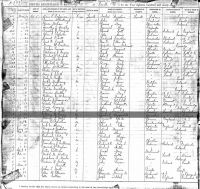 CAREY, William H - Birth Certificate - 26 Mar 1892
Lowell, Middlesex, Massachusetts, USA