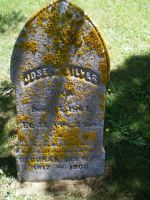 SILVER, Joseph C. and Deborah (Burgess) Grave
Orleans Cemetery, East Orleans, Barnstable, Massachusetts, USA